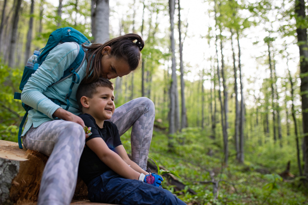 Who Ever Heard of ‘Forest Bathing’?